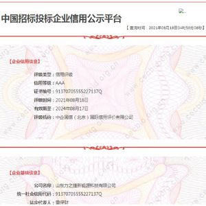 中国招标投标企业信用公示平台